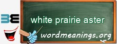 WordMeaning blackboard for white prairie aster